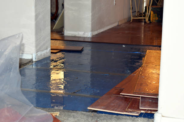 Professional Burst Pipe Cleanup technician working in Woodville, AL