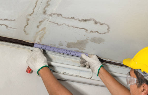 Reliable Burst Pipe Cleanup contractor in Woodville, AL by Water Damage Irwin
